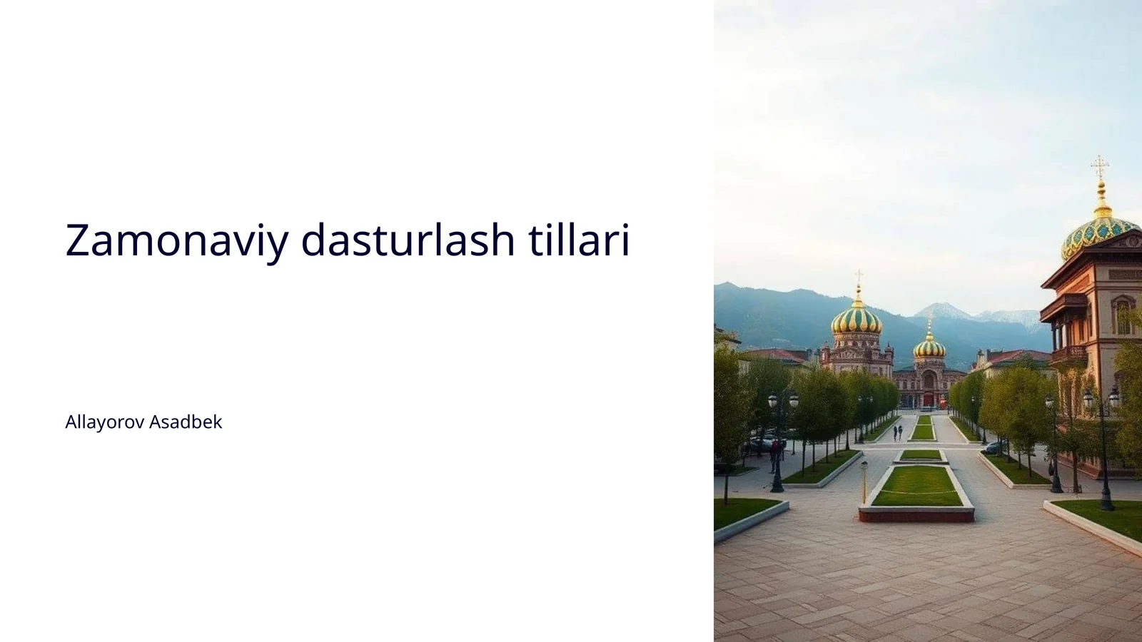 Dasturlash tillarining tarixi 1