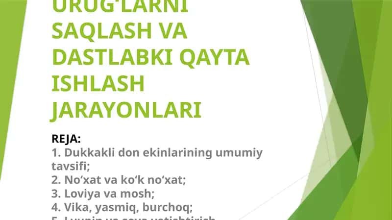 Dukkakli Ekinlar Urug‘lаrni Sаqlаsh va Dastlabki Qayta Ishlashjarayonlari 1