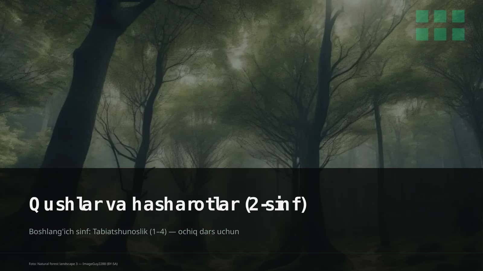 Qushlar va hasharotlar (2-sinf) 1