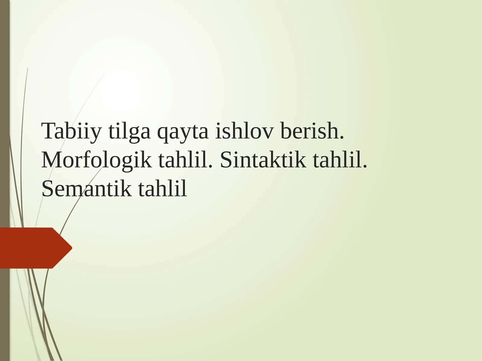 Tabiiy tilni qayta ishlash (NLP) 1