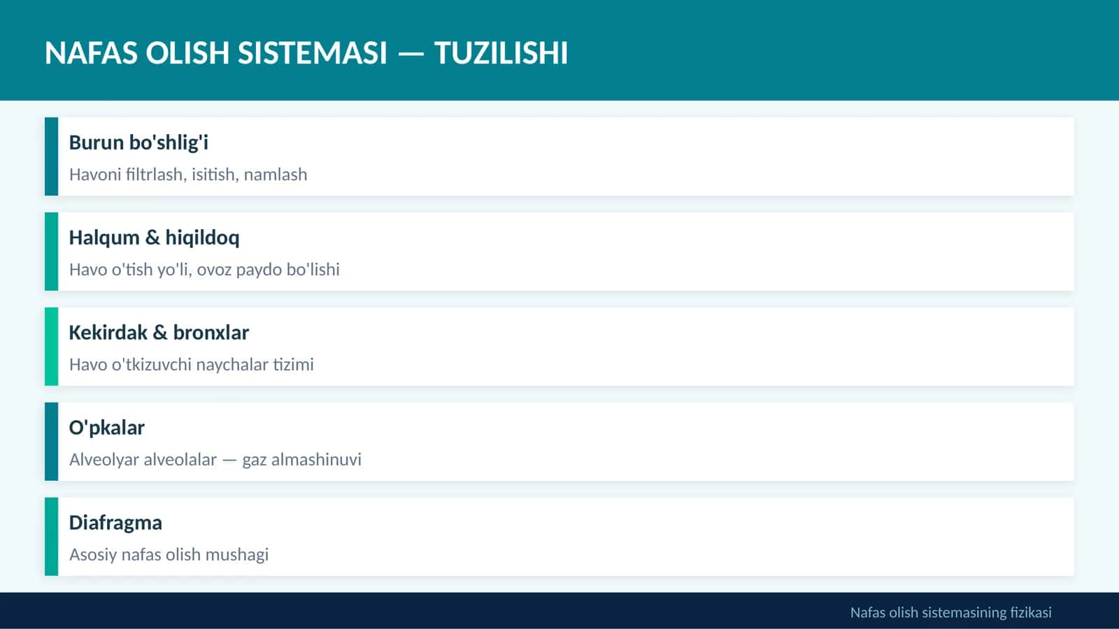 NAFAS OLISH SISTEMASI — TUZILISHI 1