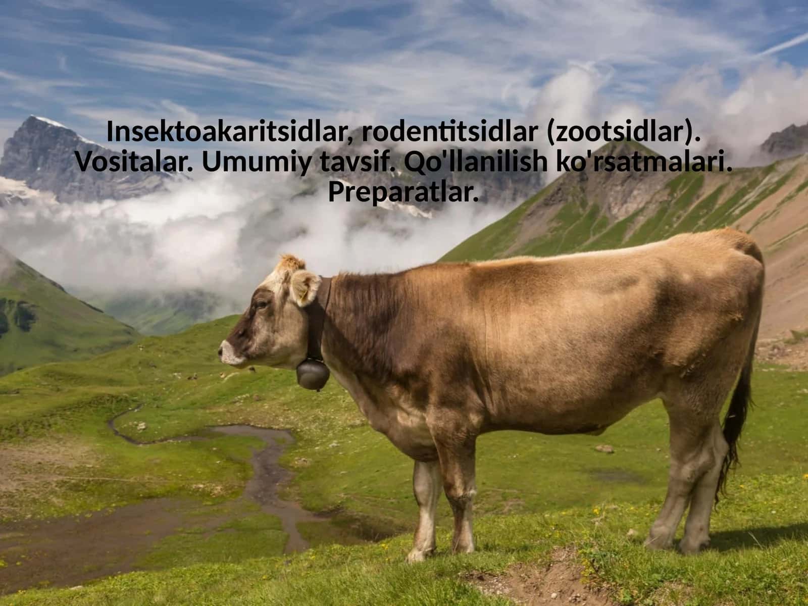 Insektoakaritsidlar va rodentsidlar xarakteristikasi 1