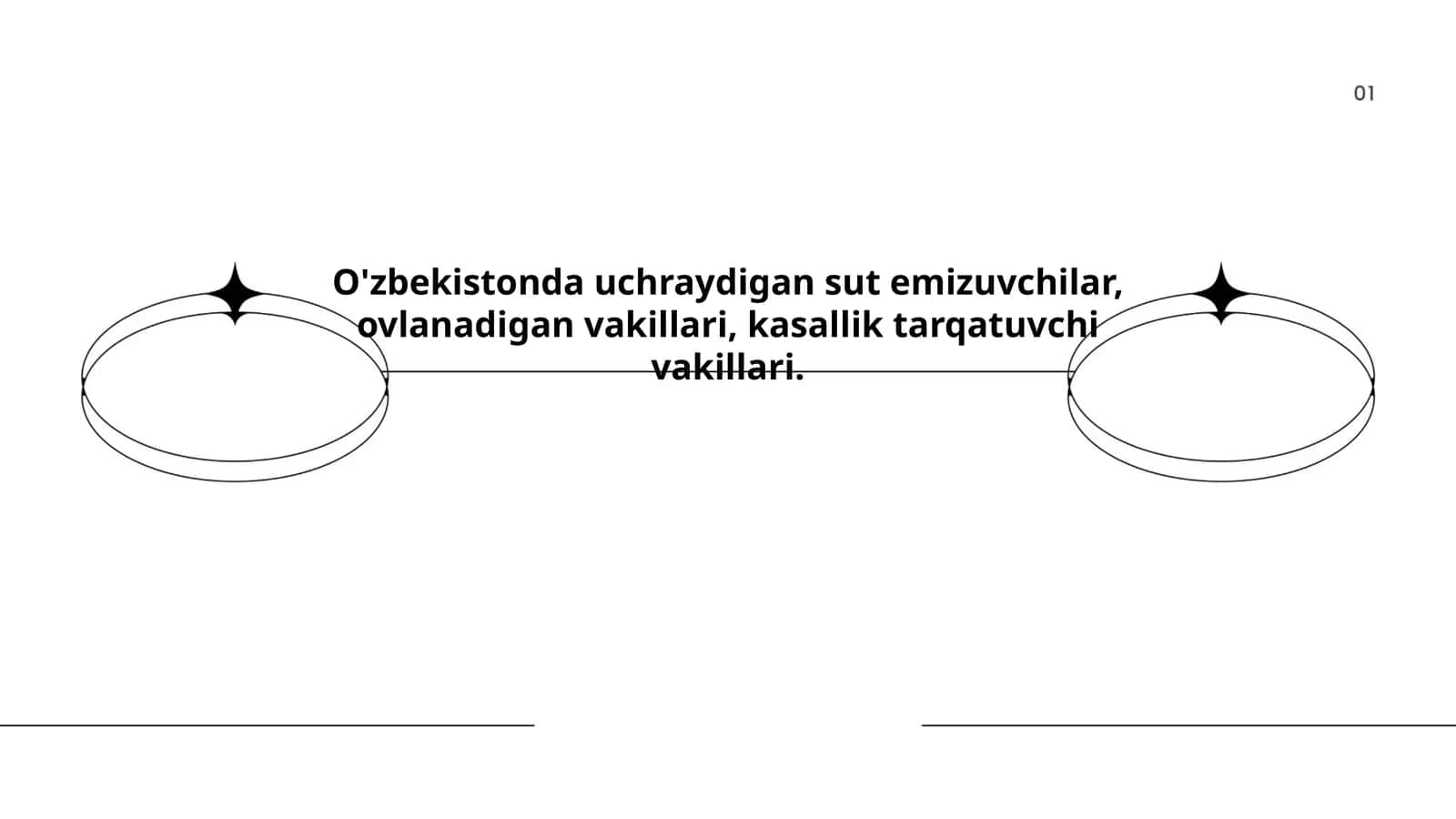 Oʻzbekistonda uchraydigan sut emizuvchilar, ovlanadigan vakillari, kasallik tarqatuvchi vakillari 1