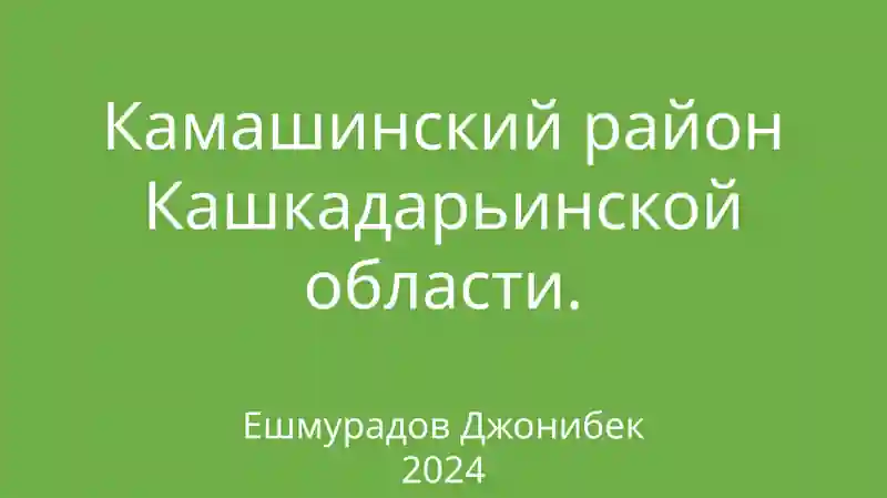 Камашинский район