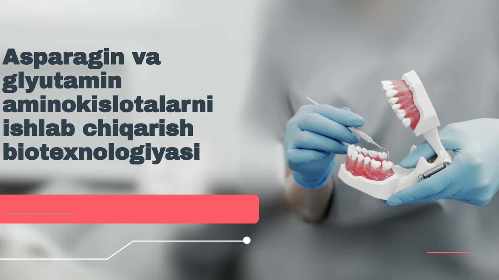 Asparagin va glyutamin aminokislotalar biotexnologiyasi 1