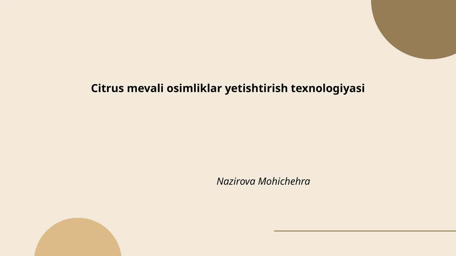 Citrus mevali osimliklar yetishtirish texnologiyasi 1