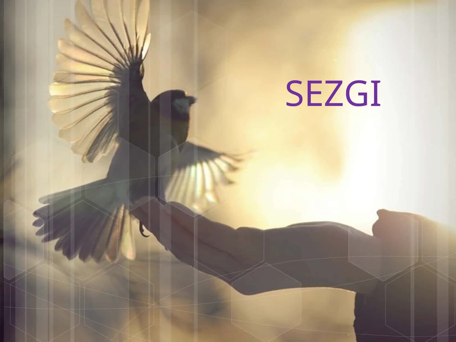 SEZGI 1