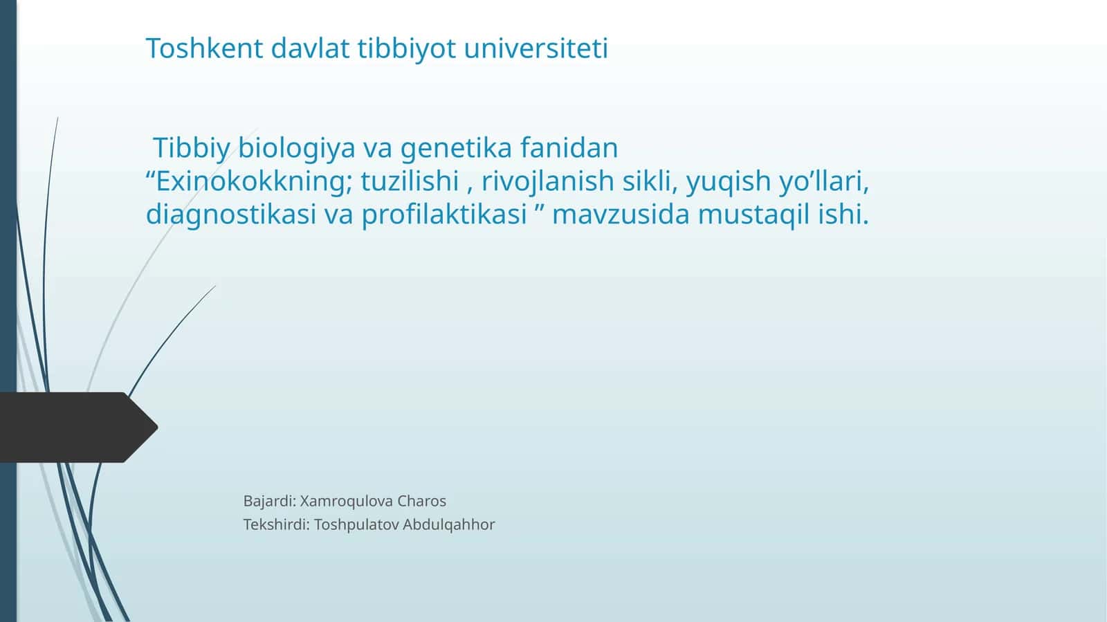 Exinokokkning tuzilishi, rivojlanish sikli, yuqish yo'llari, diagnostikasi va profilaktikasi 1