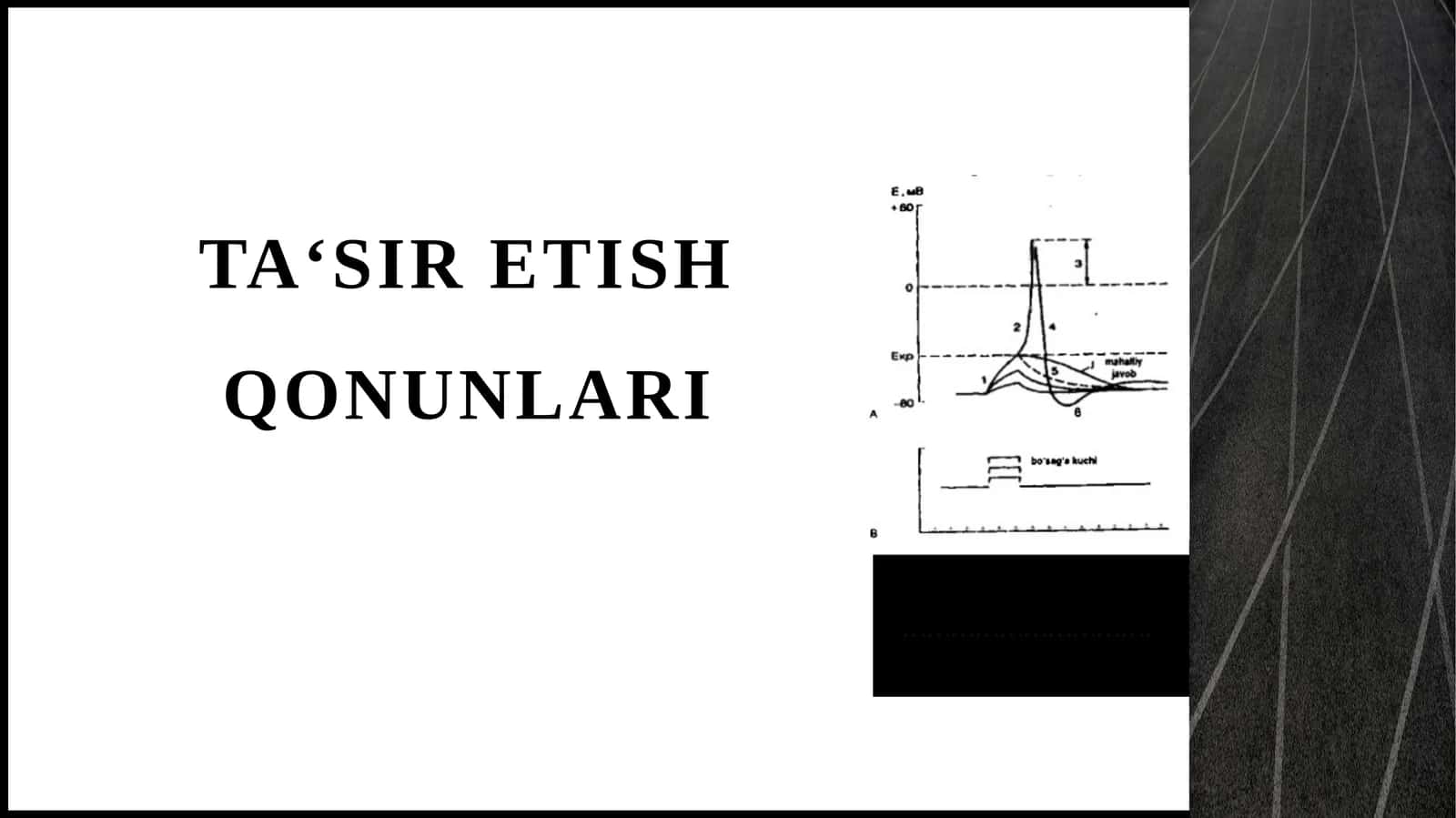 Ta‘siretishqonunlari 1