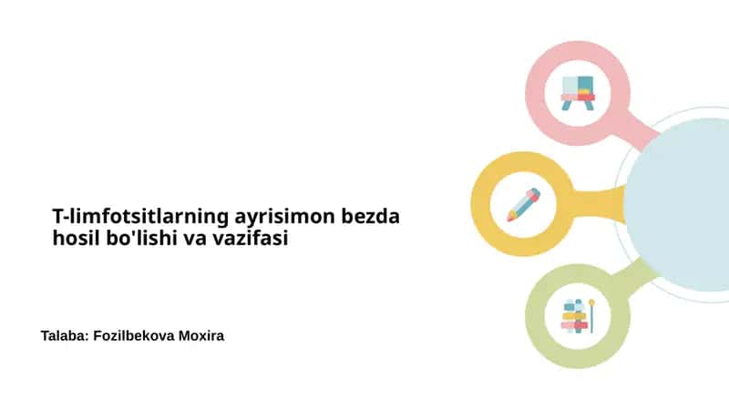 T-limfotsitlarning ayrisimon bezda hosil bo'lishi va vazifasi 1