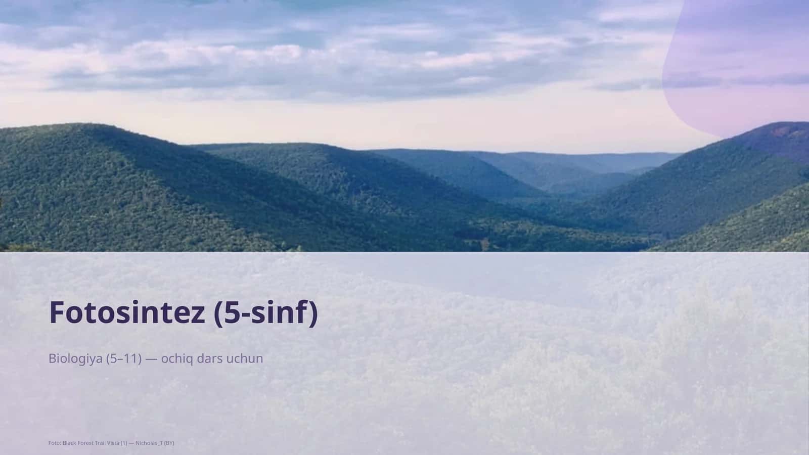 Fotosintez (5-sinf) 1