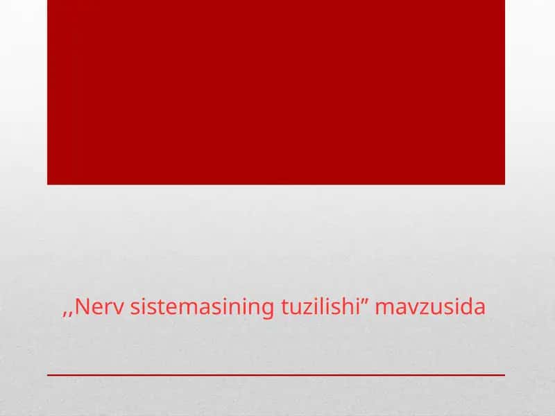 Nerv_sistemasining_tuzilishi 1
