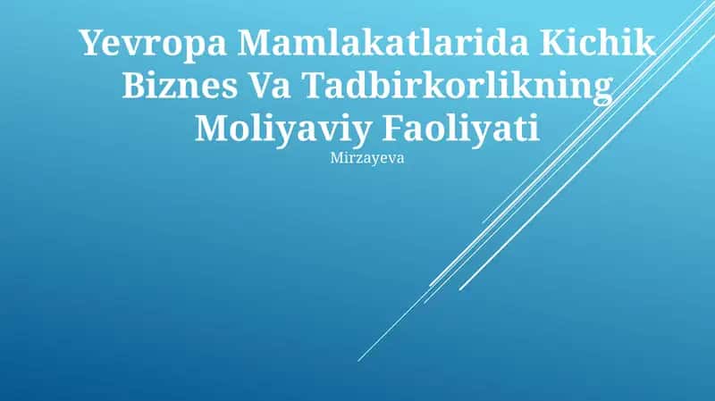 Yevropa Mamlakatlarida Kichik Biznes Va Tadbirkorlikning Moliyaviy Faoliyati 1