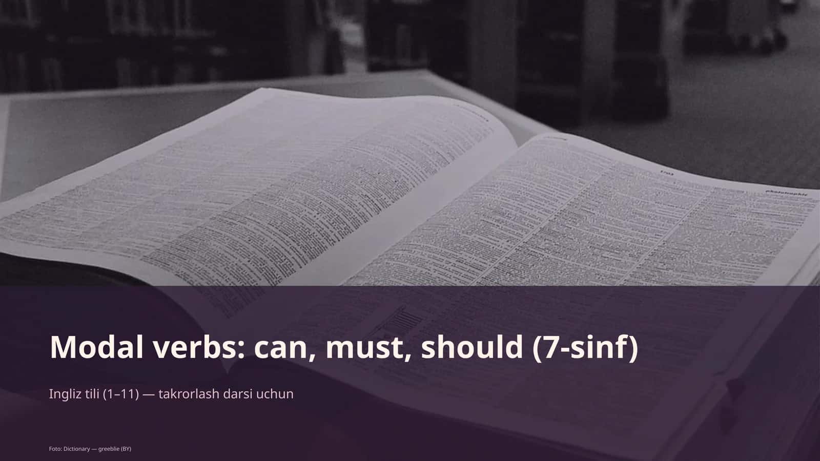 Modal verbs: can, must, should (7-sinf) 1