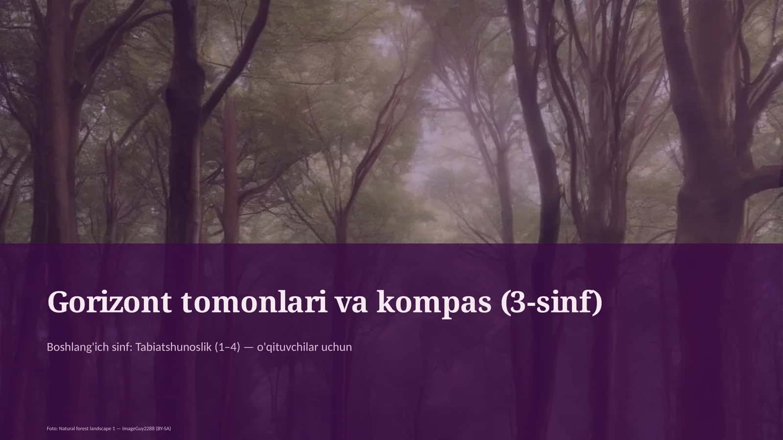 Gorizont tomonlari va kompas (3-sinf) 1