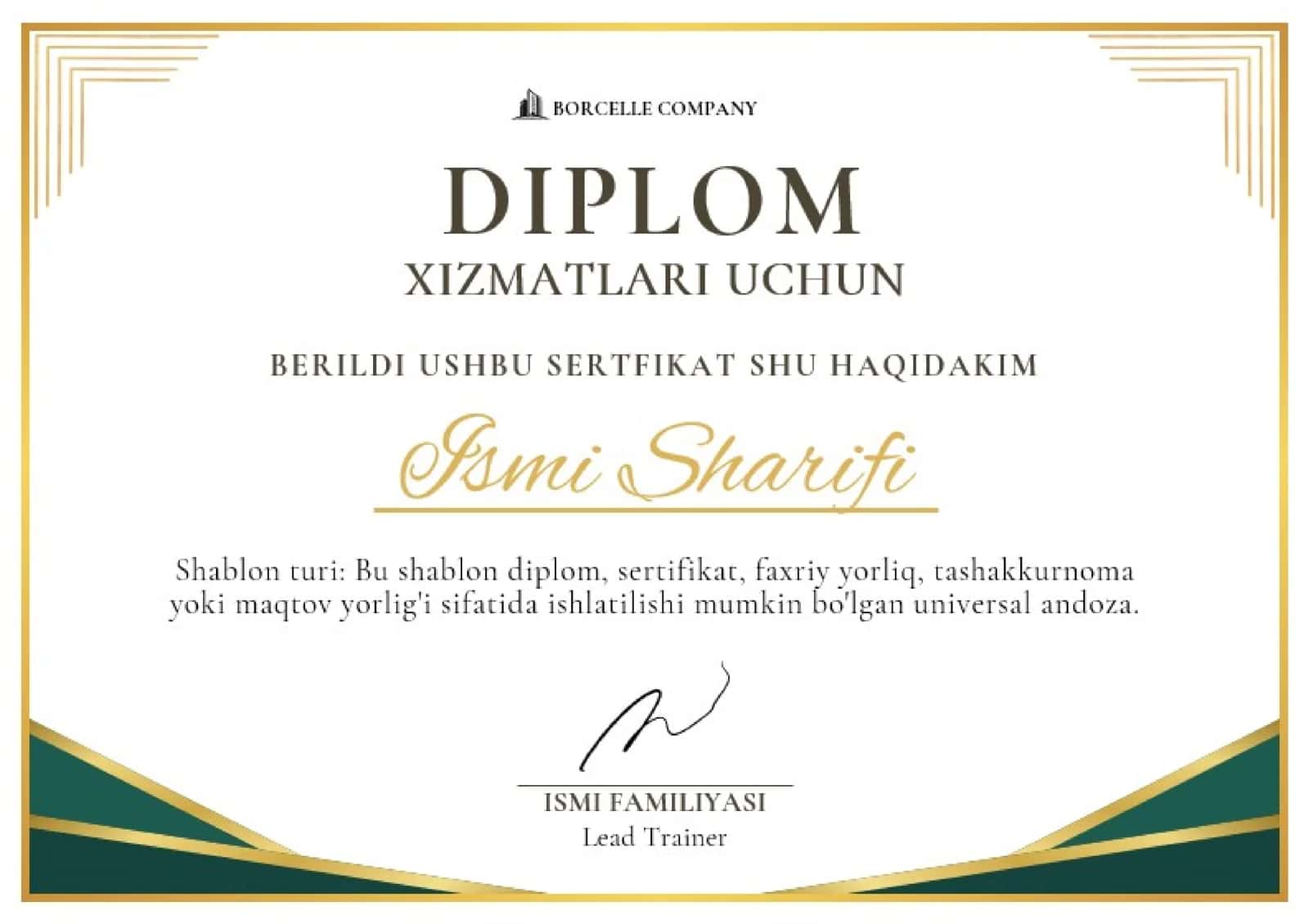 DIPLOM 1