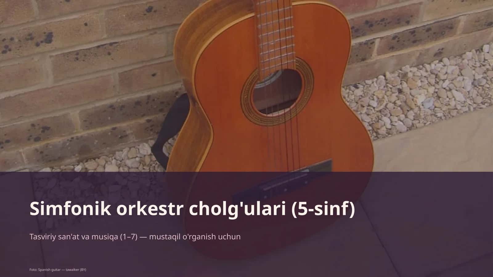 Simfonik orkestr cholg'ulari (5-sinf) 1