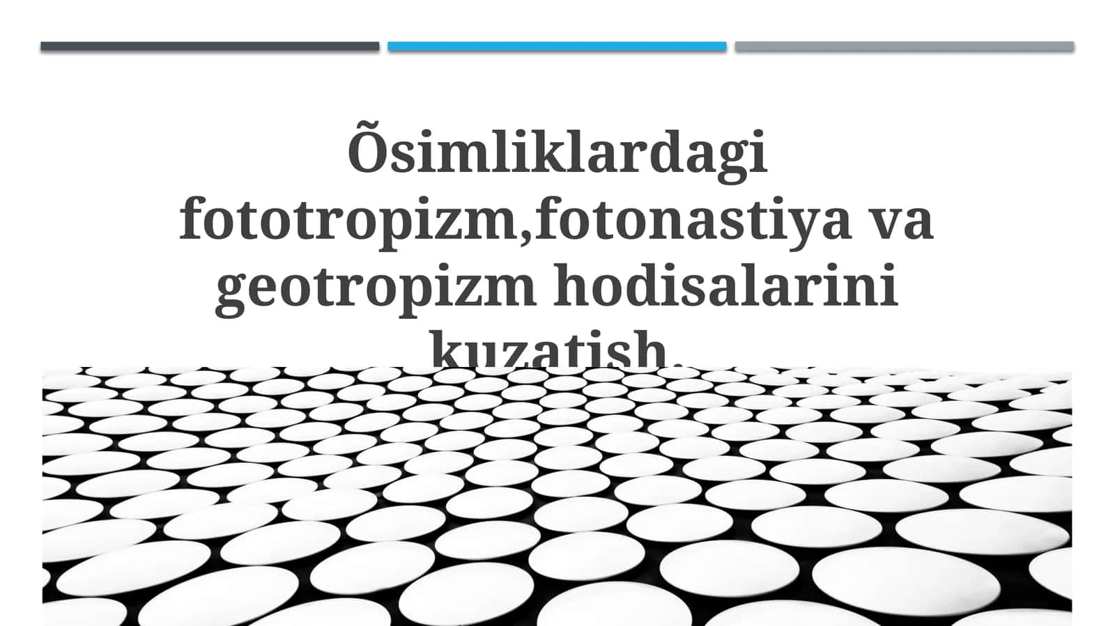 Fototropizm, Fotonastiya va Geotropizm: Ta'riflar va Mexanizmlar 1