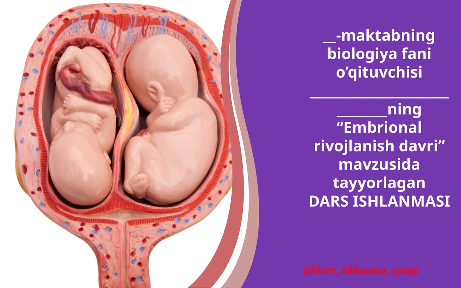 “Embrional rivojlanish davri” mavzusi dars ishlanmasi 1