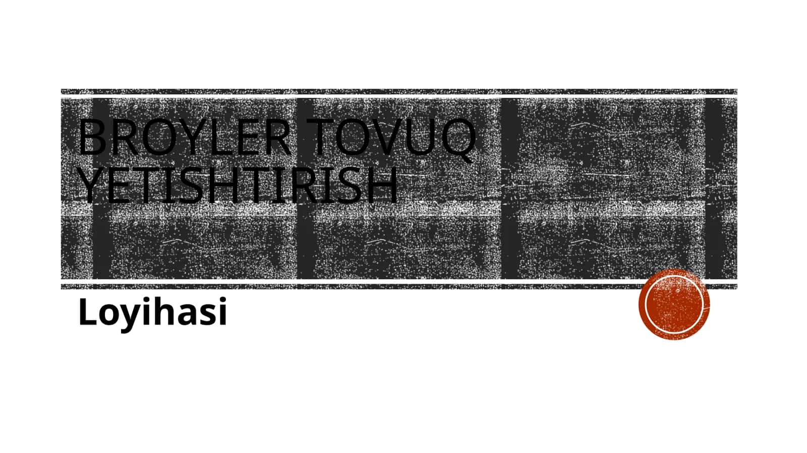 (100 millionlik loyiha ishi)  Broyler to'vush etishtirish loyihasi 1