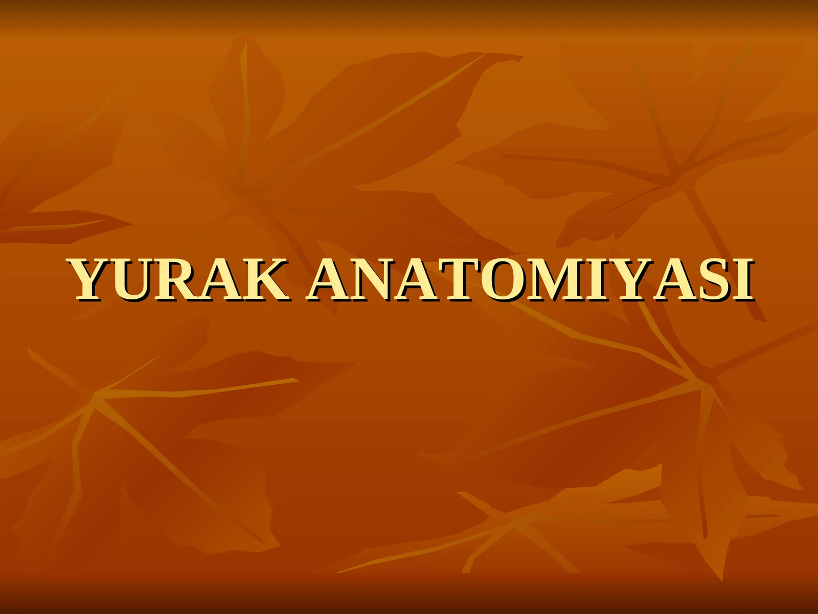 YURAK ANATOMIYASI 1
