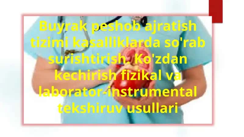 Buyrak peshob ajratish tizimi kasalliklarda so'rab surishtirish. Ko'zdan kechirish fizikal va laborator-instrumental tekshiruv usullari 1