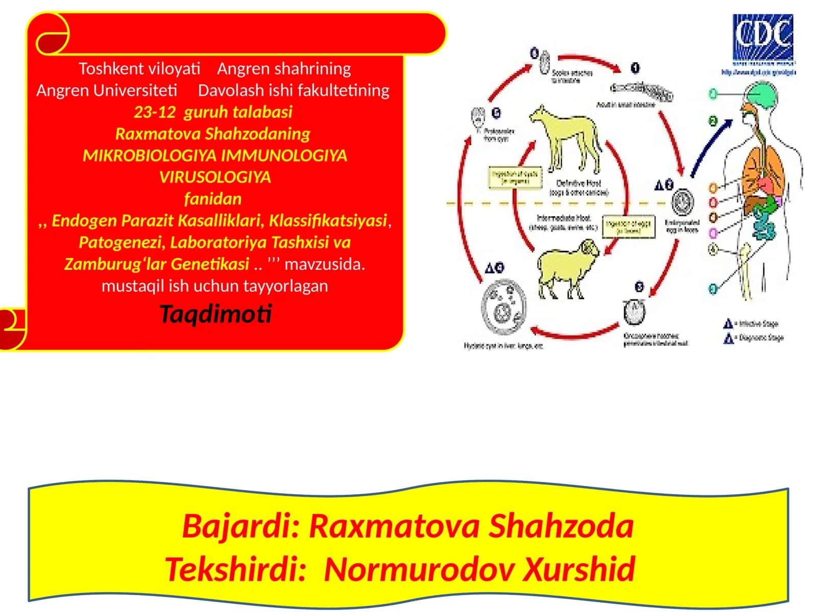 Davolashishifakulteti 23-12 guruh talabasi 1