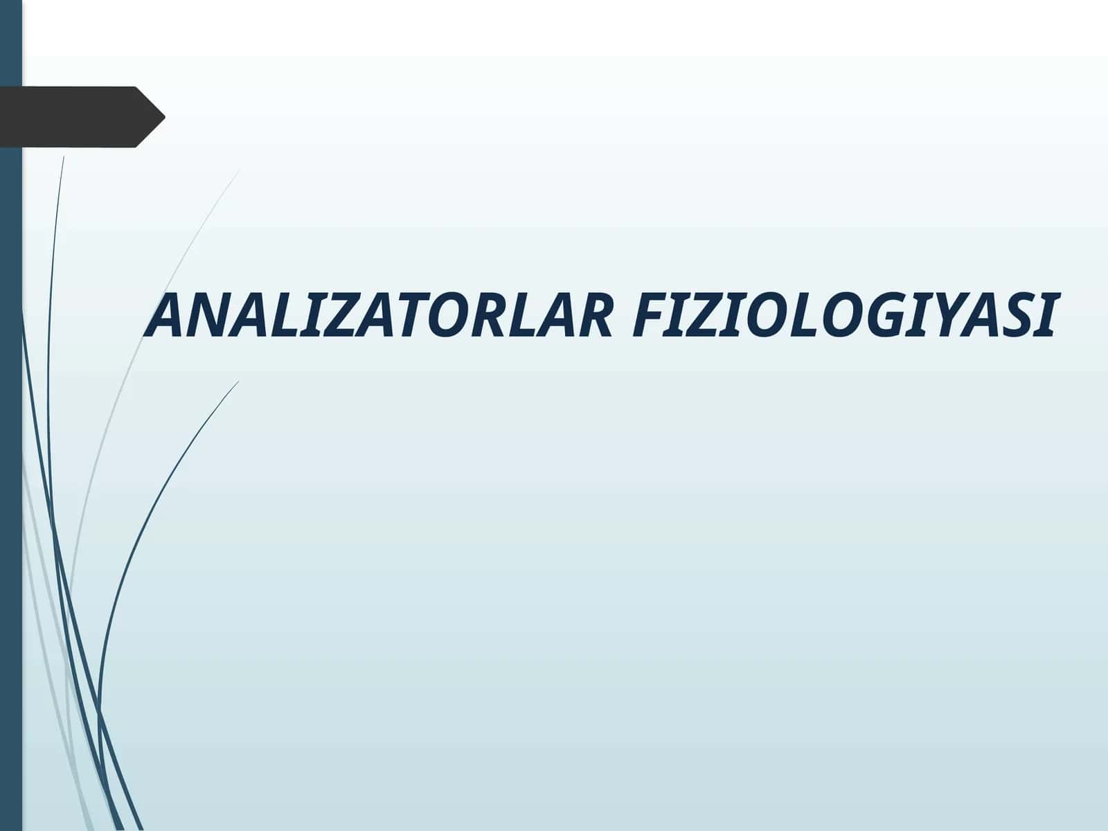 ANALIZATORLAR FIZIOLOGIYASI 1