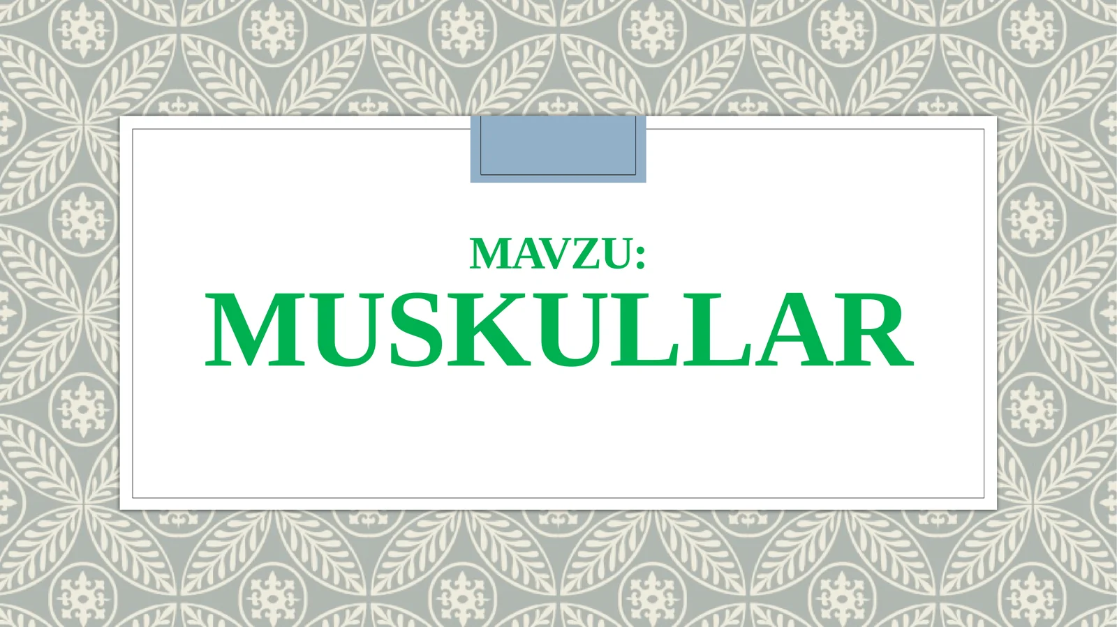 Muskullar 1