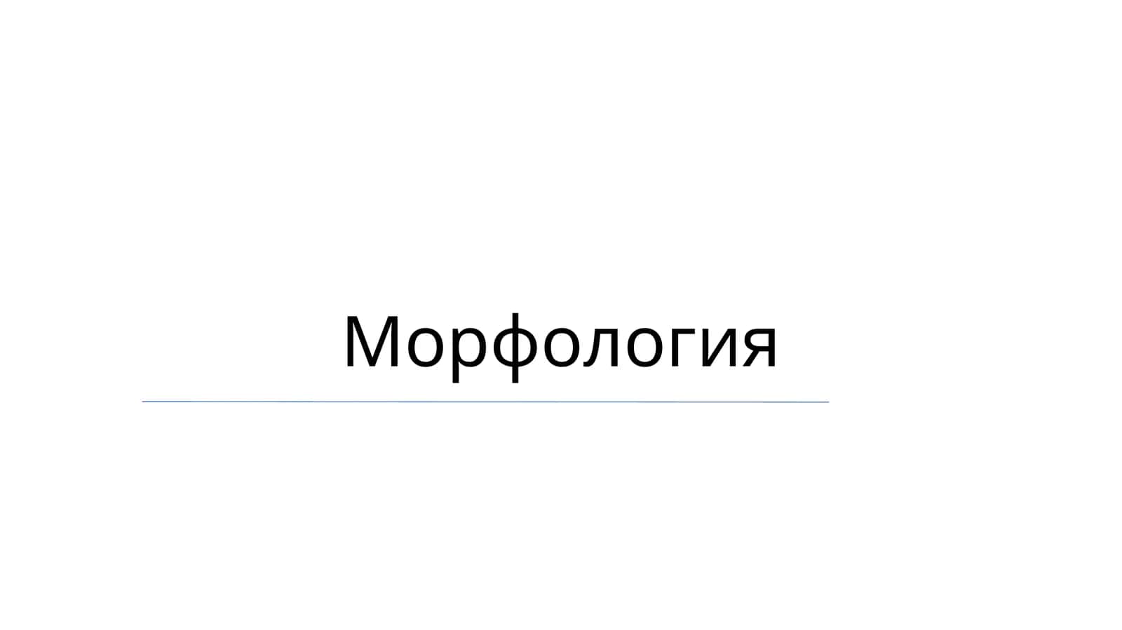 Морфология 1
