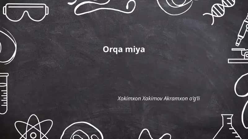 Orqa miya 1