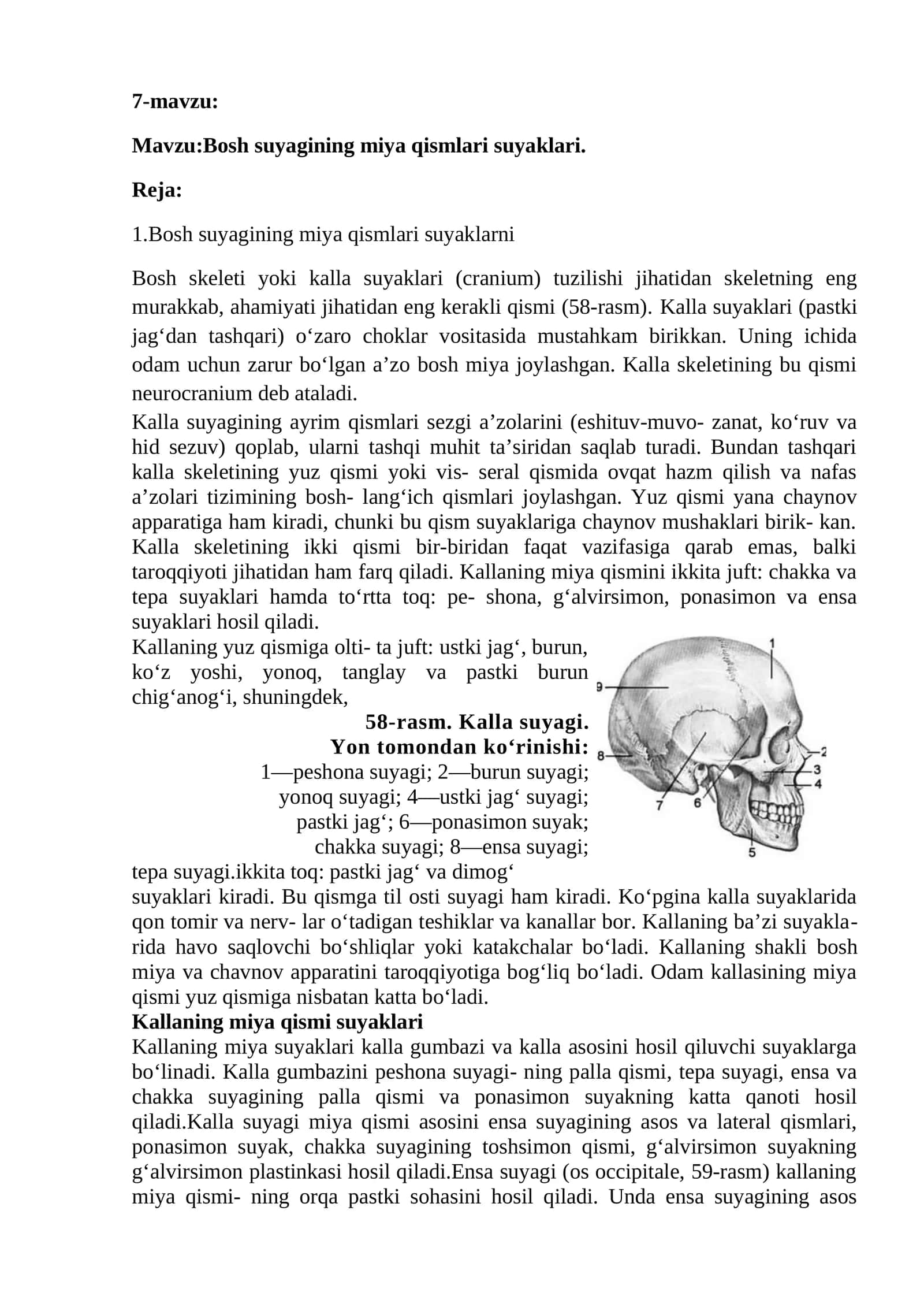 Bosh suyagining miya qismlari suyaklari 1