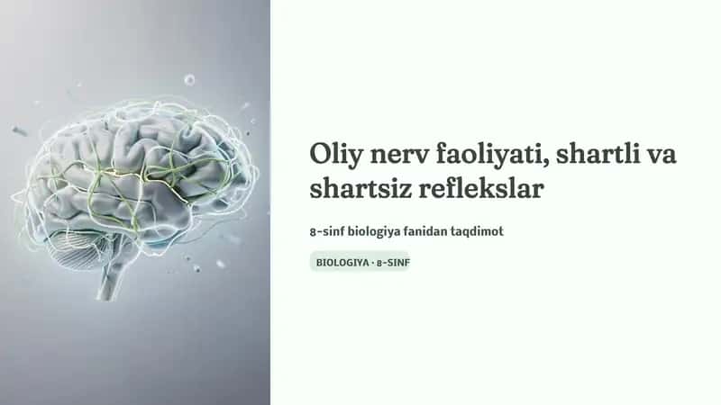 Oliy nerv faoliyati, shartli va shartsiz reflekslar 1