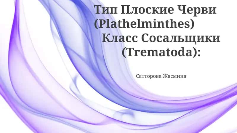Сатторова Жасмина 1