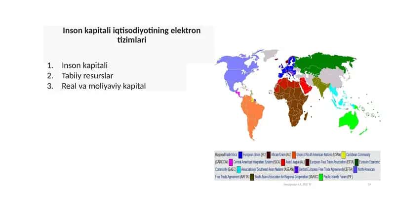 Inson kapitali iqtisodiyotining elektron tizimlari 1