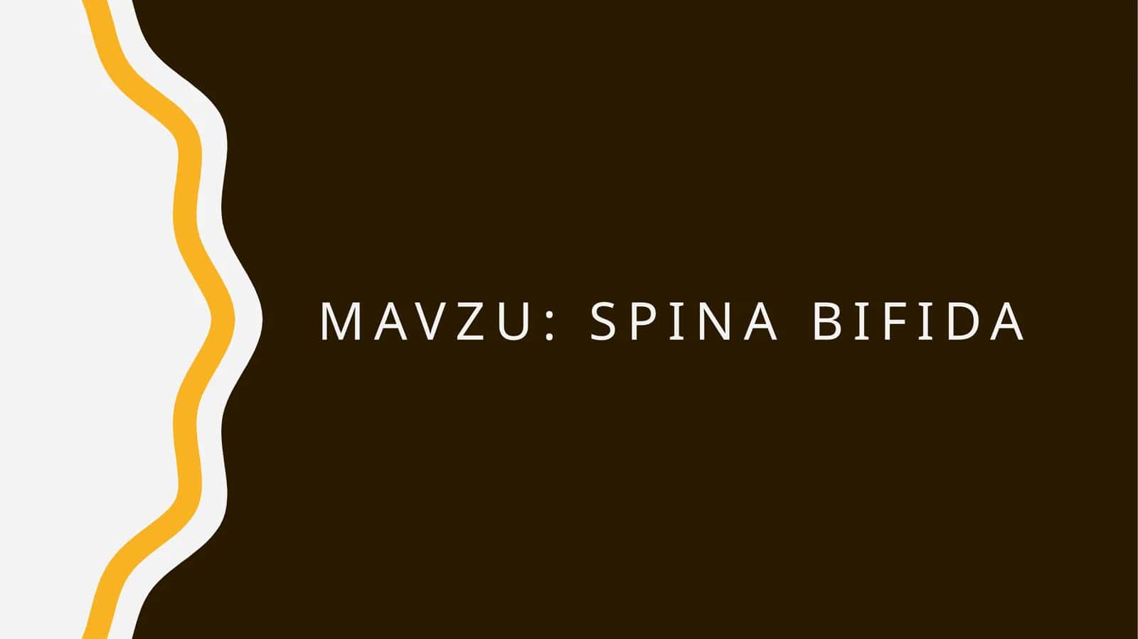 Spina bifida 1