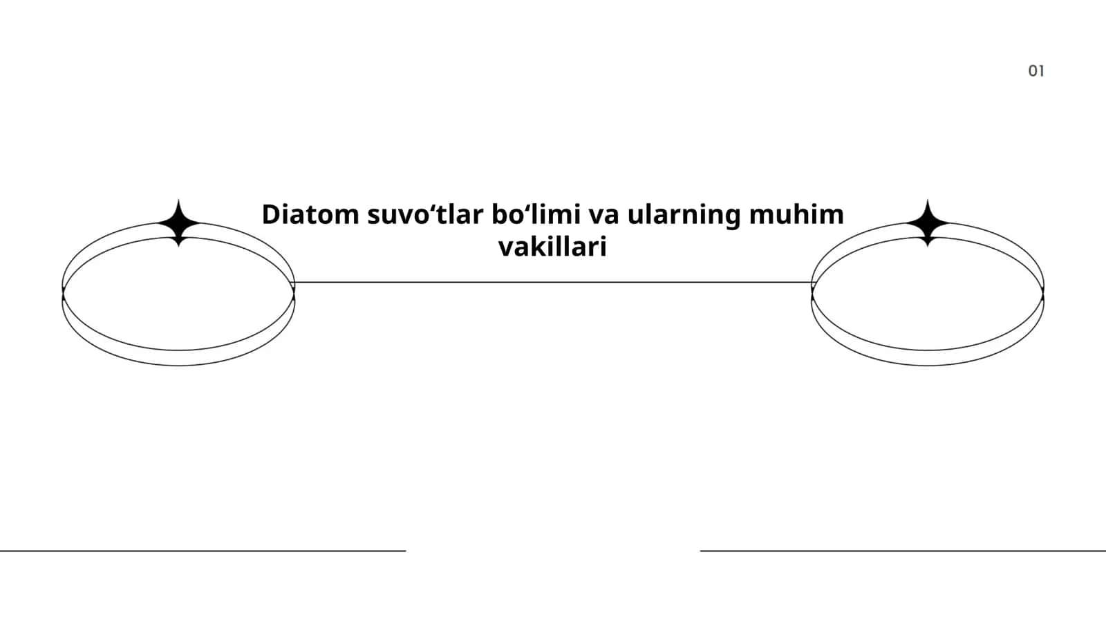 Diatom suvoʻtlar boʻlimi va ularning muhim vakillari 1
