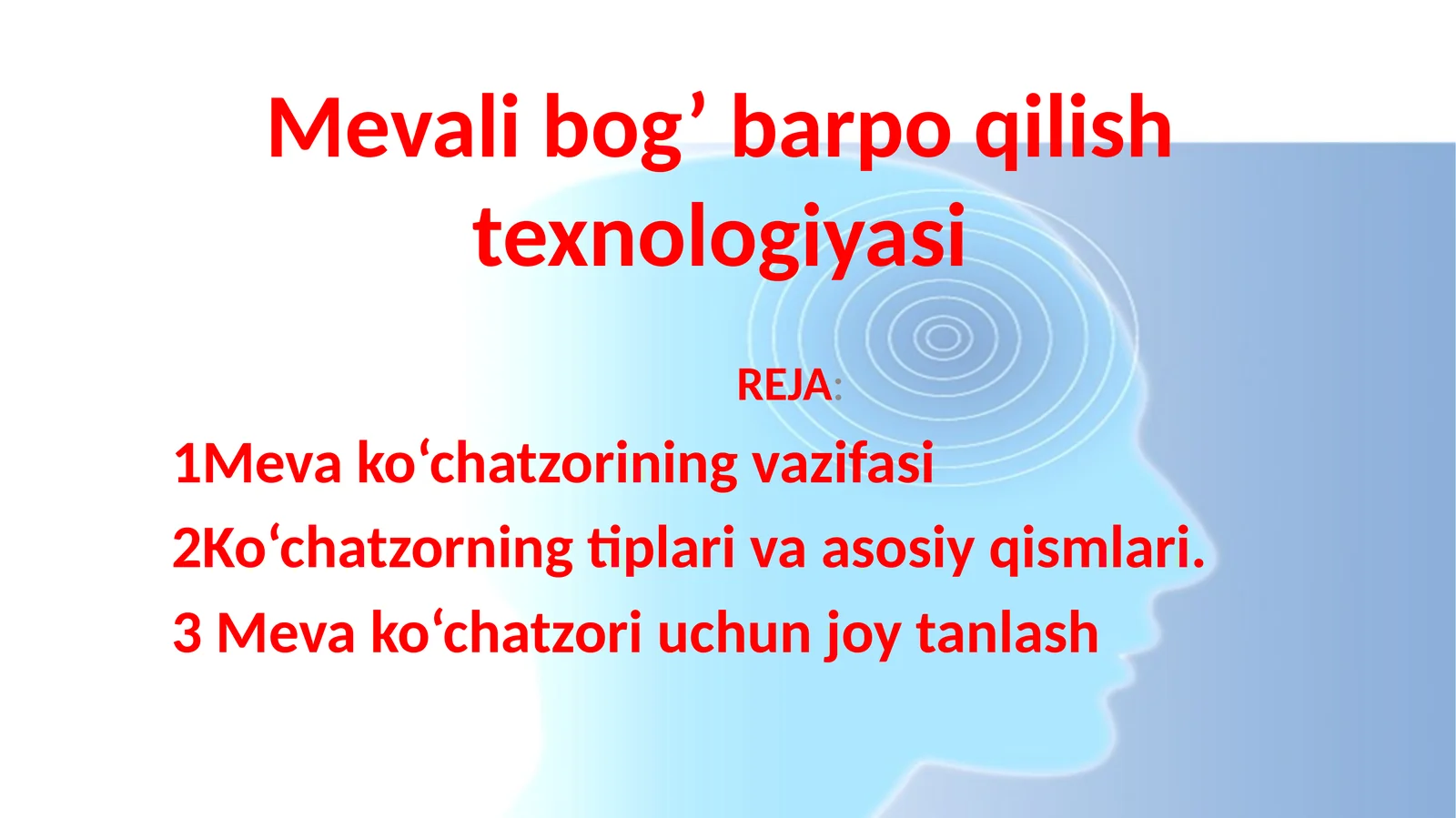 mustaqil ishi 1
