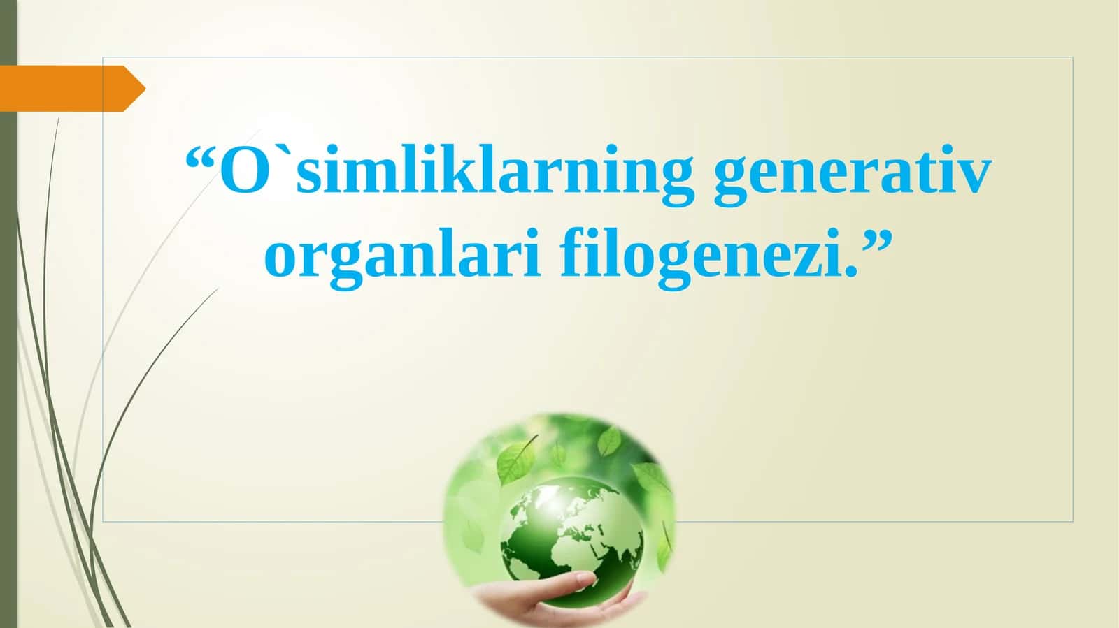 O`simliklarning generativ organlari filogenezi 1
