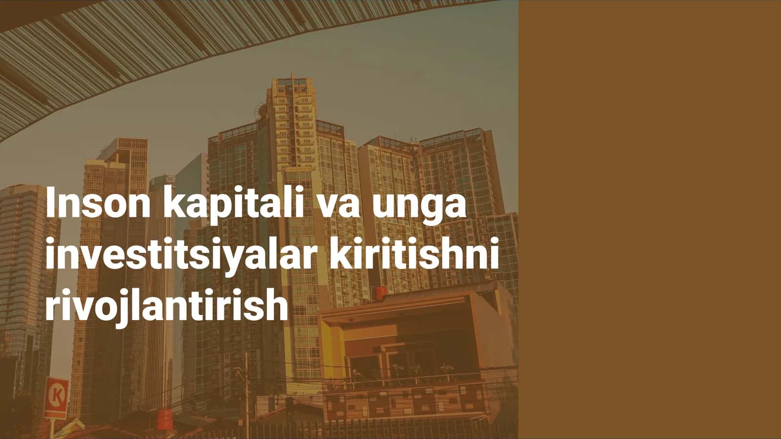 Inson kapitalini rivojlantirish 1