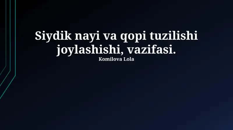Siydik yo'lining qon ta'minoti va nervlar 1