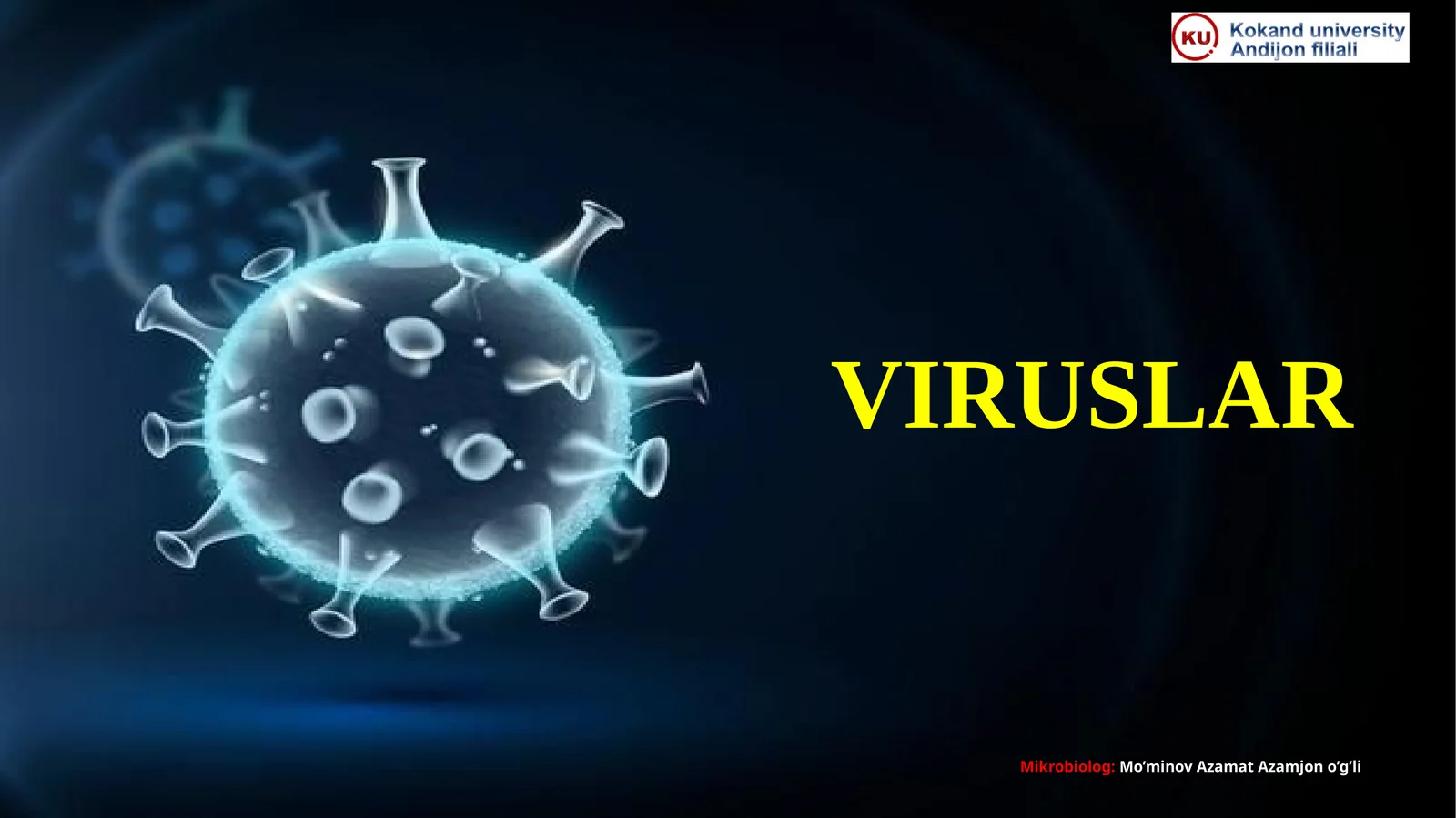 VIRUSLAR 1