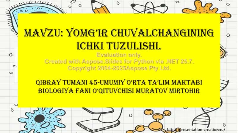 Yomg’ir chuvalchangining ichki tuzulishi 1