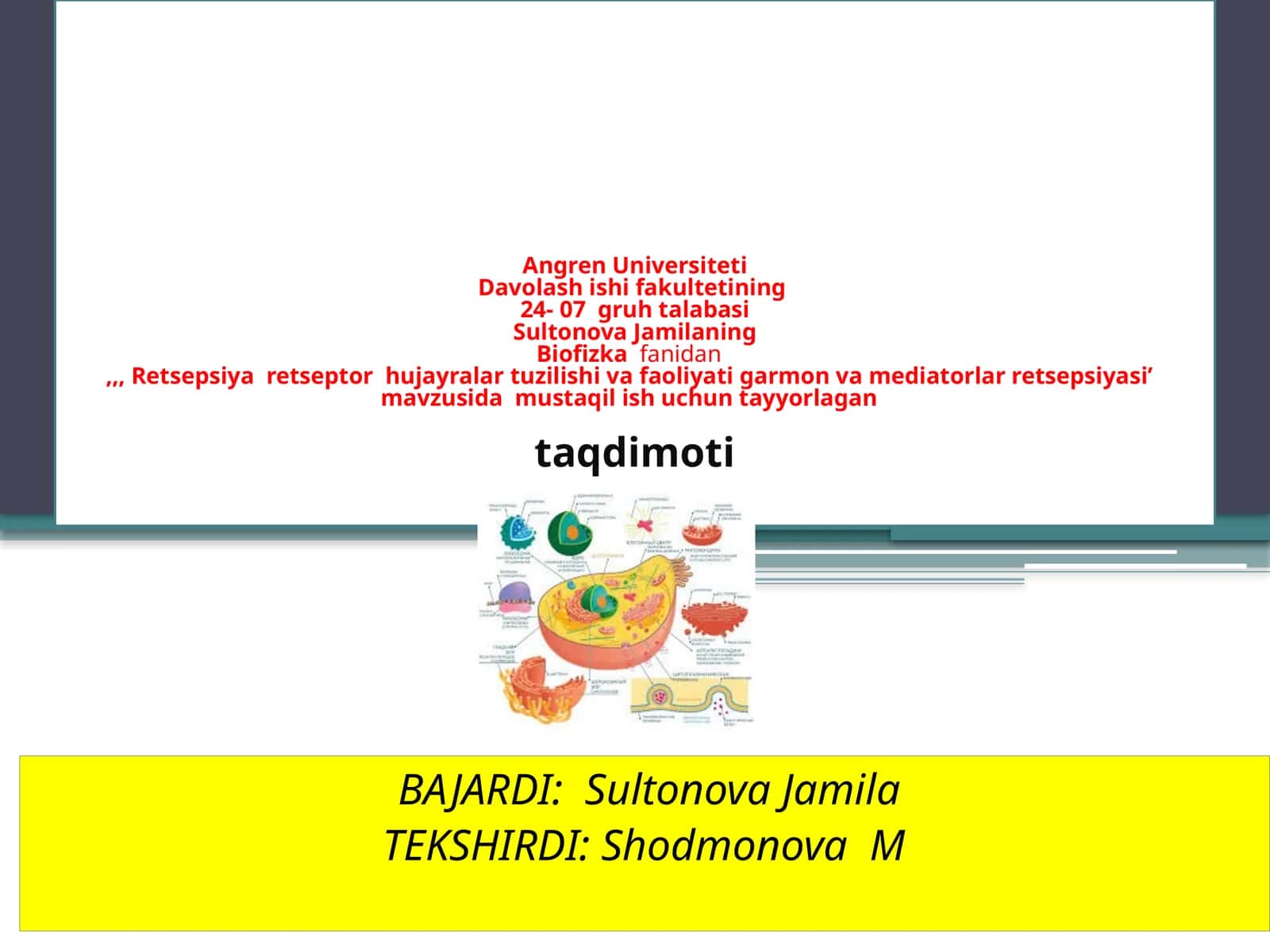 Biofizika fanidan Retseptor hujayralar tuzilishi 1