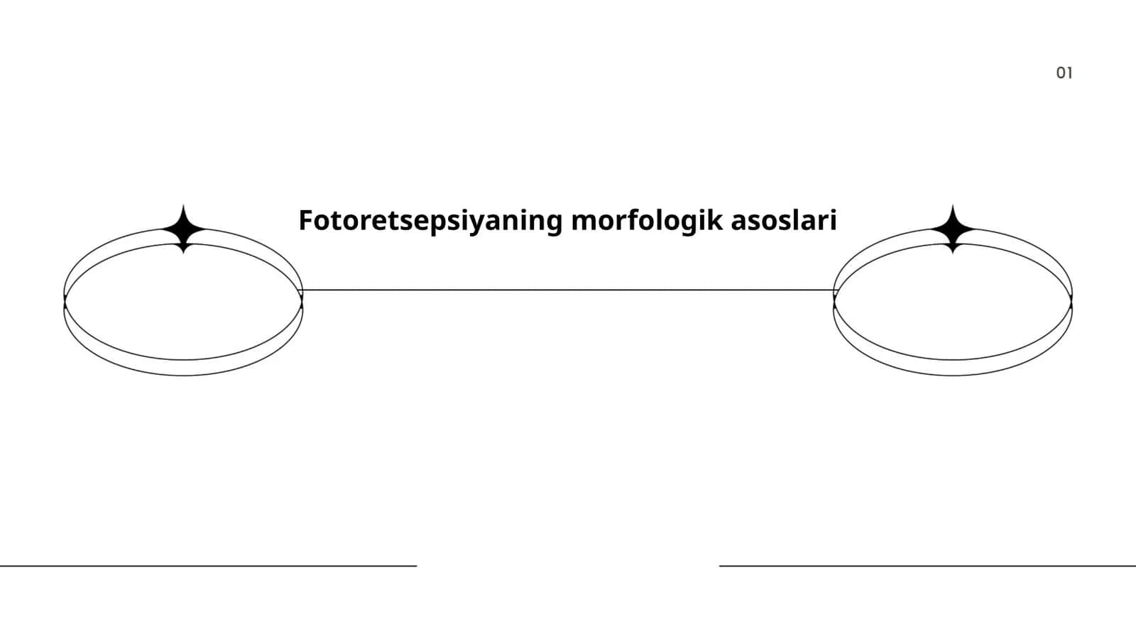 Fotoretsepsiyaning morfologik asoslari 1