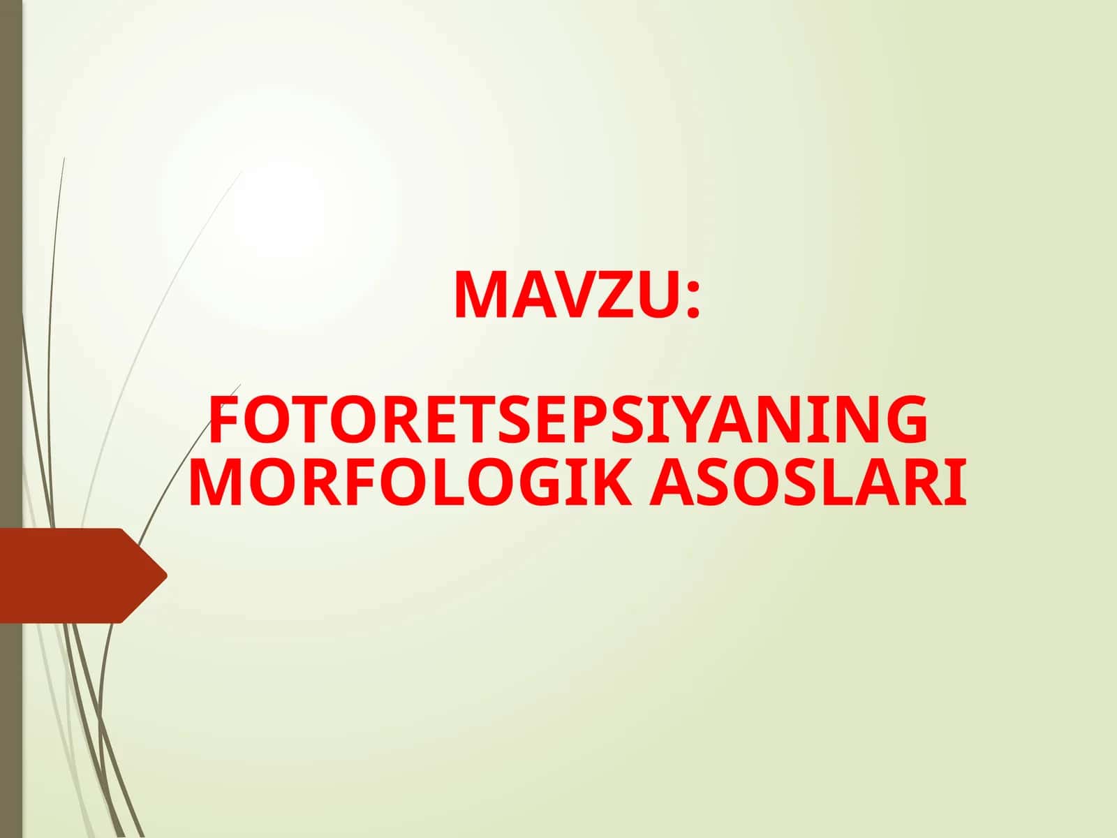 FOTORETSEPSIYANING MORFOLOGIK ASOSLARI 1