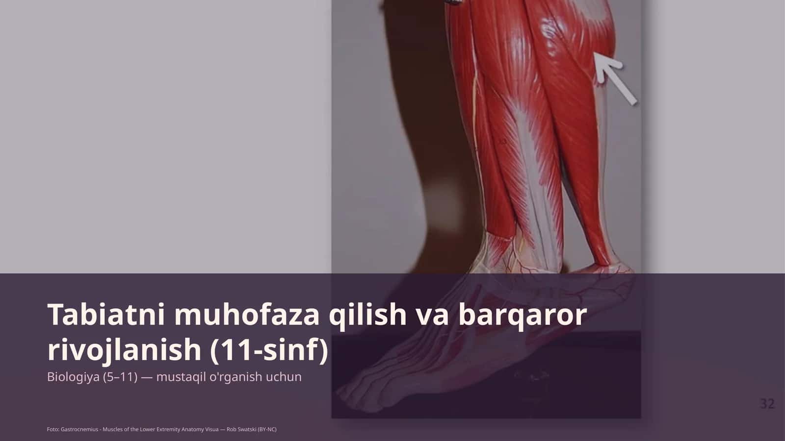 Tabiatni muhofaza qilish va barqaror rivojlanish (11-sinf) 1