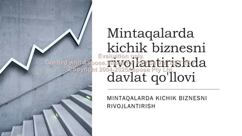 Mintaqalarda kichik biznesni rivojlantirishda davlat qo'llovi 1