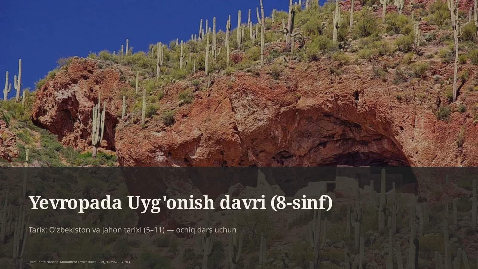 Yevropada Uyg'onish davri (8-sinf) 1