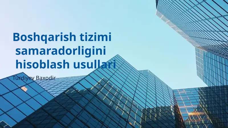Boshqarish tizimi samaradorligini hisoblash usullari 1